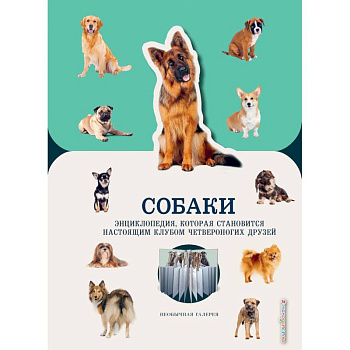 Собаки Собаки