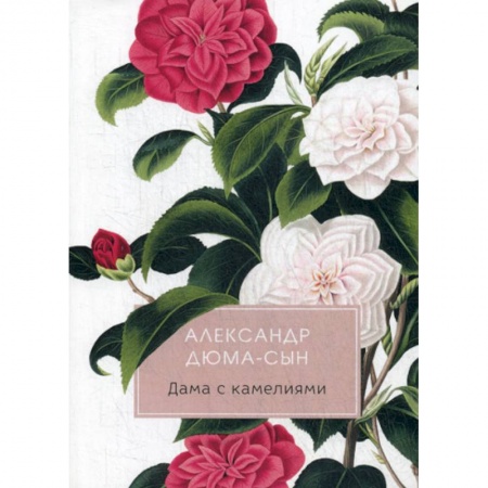 Зарубежная современная проза, книга Дама с камелиями купить по скидке