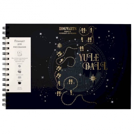 Альбомы, анкеты, дневнички, книга Скетчбук 20 листов (А4), Гарри Поттер. Хогвартс (неоновый) купить по скидке