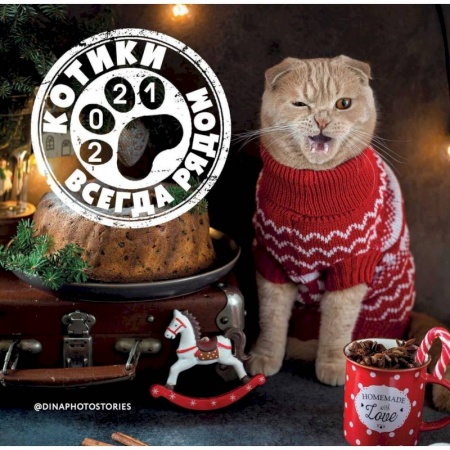 Обустройство дома, квартиры, книга Календарь. Котики всегда рядом купить по скидке