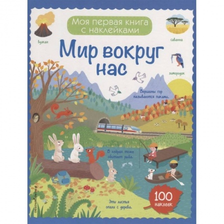 Книжки с наклейками, книга Мир вокруг нас (с наклейками) купить по скидке