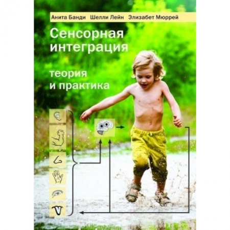 Возрастная психология, книга Сенсорная интеграция. Теория и практика купить по скидке