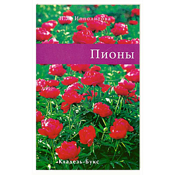 Пионы