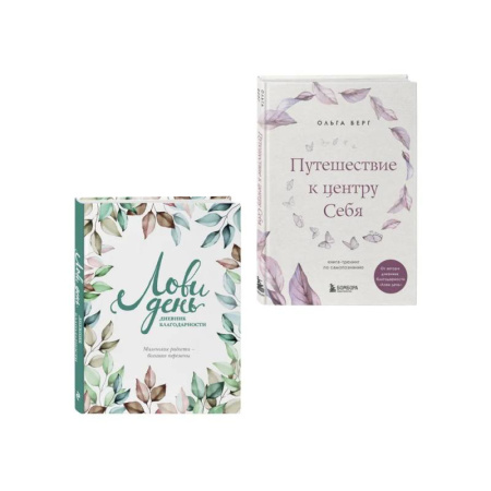 Достижение успеха в жизни, книга Комплект из 2-х книг: Лови день. Дневник благодарности + Путешествие к центру себя (ИК) купить по скидке