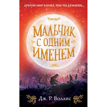 Мальчик с одним именем Мальчик с одним именем