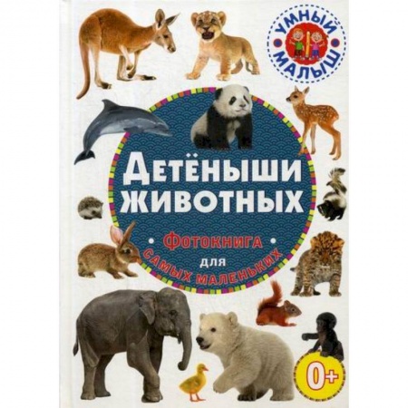 Знакомство с миром, развитие малыша, книга Детеныши животных купить по скидке