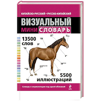 Китайско-русский русско-китайский визуальный мини-словарь