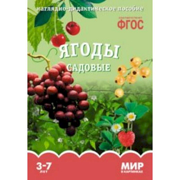 Ягоды садовые. Наглядно-дидактическое пособие