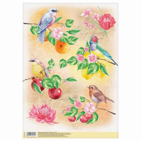 Декупажная карта «Райские птицы», 21 x 29,7 см