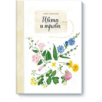 Мой гербарий. Цветы и травы