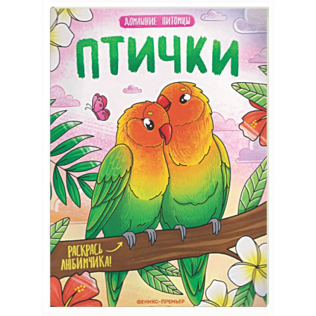 Животные. Птицы. Растения, книга Птички: книжка-раскраска купить по скидке