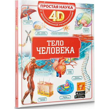 Тело человека