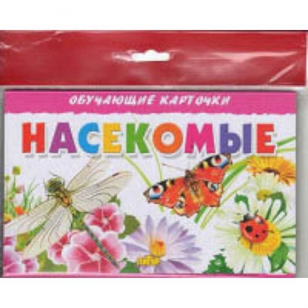 Окружающий мир, книга Насекомые купить по скидке