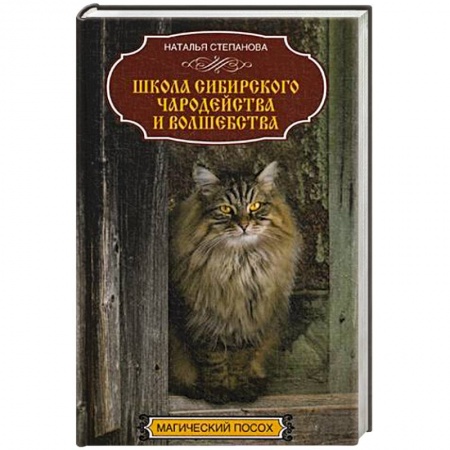 Колдовство. Практическая магия, книга Школа сибирского чародейства и волшебства купить по скидке
