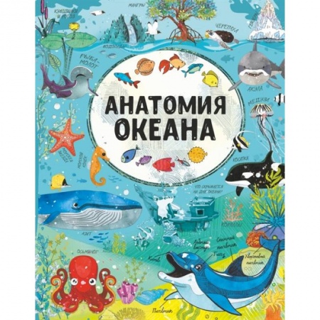 Животный и растительный мир, книга Анатомия океана купить по скидке