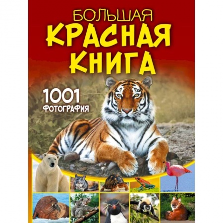 Животный и растительный мир, книга Большая красная книга. 1001 фотография купить по скидке
