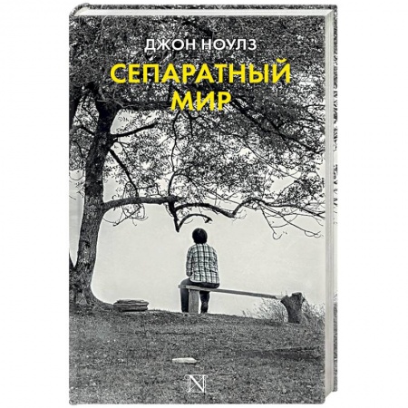 Зарубежная современная проза, книга Сепаратный мир купить по скидке