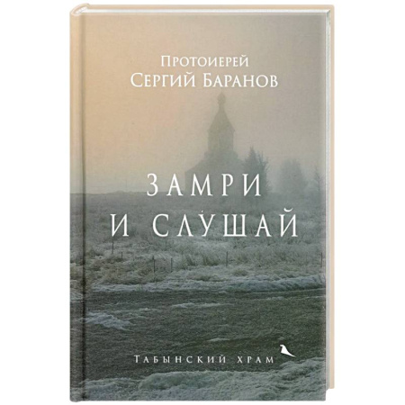 Богословие. Апологетика, книга Замри и слушай купить по скидке
