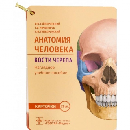 Специальная медицина, книга Анатомия человека. Кости черепа. 23 карточки купить по скидке