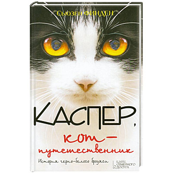 Каспер, кот-путешественник