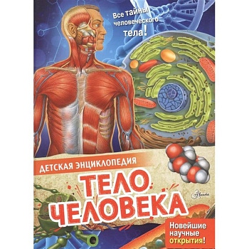 Тело человека
