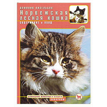 Норвежская лесная кошка. Содержание и уход
