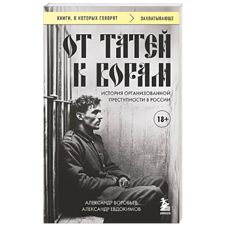 Криминал, книга От татей к ворам: история организованной преступности в России. купить по скидке