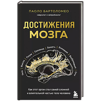 Достижения мозга. Как этот орган стал самой сложной и влиятельной частью тела человека Достижения мозга. Как этот орган стал самой сложной и влиятельной частью тела человека