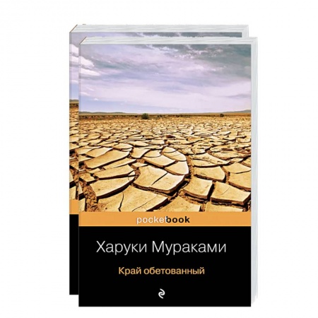 Зарубежная современная проза, книга Подземка. Край обетованный (комплект из 2 книг) купить по скидке