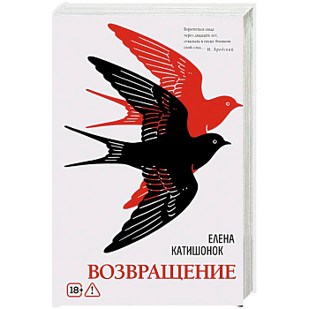 Возвращение: роман