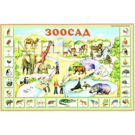 Окружающий мир, книга Зоосад. Плакат для детей (двухсторонний) купить по скидке