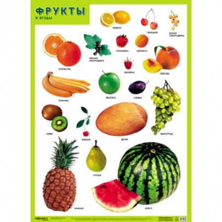 Окружающий мир, книга Фрукты и ягоды . Развивающие плакаты купить по скидке