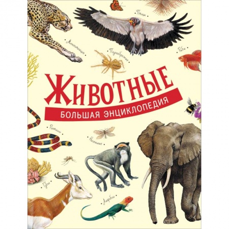 Животный и растительный мир, книга Животные. Большая энциклопедия купить по скидке