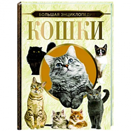 Кошки, книга Большая энциклопедия. Кошки купить по скидке