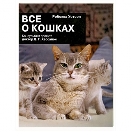 Книги, книга Все о кошках купить по скидке
