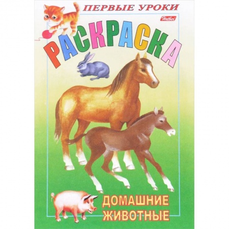 Раскраски, книга Первые уроки. Домашние животные купить по скидке