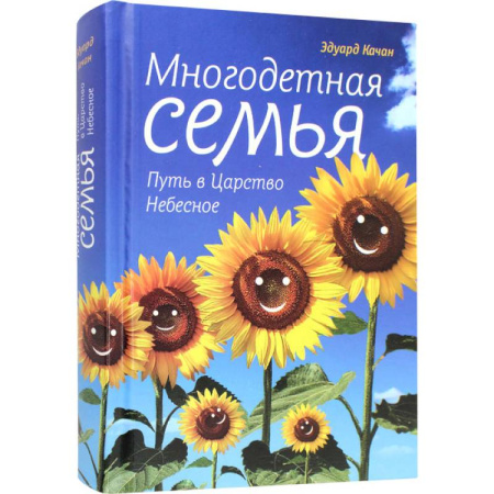 Православная семья. Педагогика. Детям, книга Многодетная семья. Путь в Царствие Небесное купить по скидке