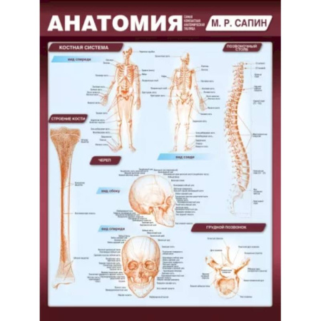 Медицинские энциклопедии и справочники, книга Анатомия. Самая компактная анатомическая таблица купить по скидке
