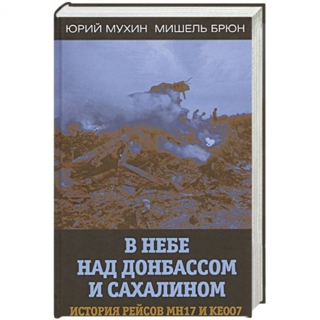 Политика, книга В небе над Донбассом и Сахалином. История рейсов.. купить по скидке
