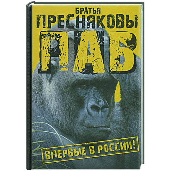 Паб