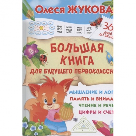 Общая подготовка к школе, книга Большая книга для будущего первоклассника купить по скидке