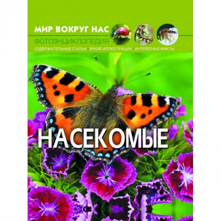 Окружающий мир, книга Мир вокруг нас. Насекомые купить по скидке