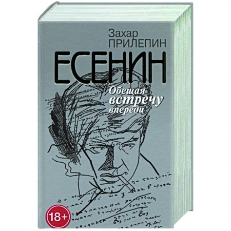 Мемуары, биографии деятелей культуры, искусства, книга Есенин. Обещая встречу впереди купить по скидке