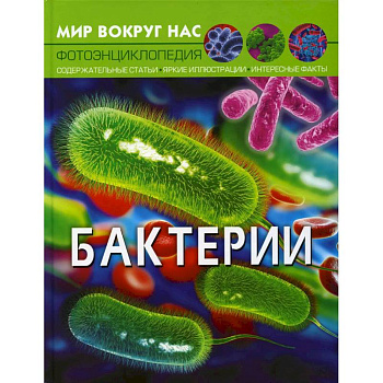 Мир вокруг нас. Бактерии Мир вокруг нас. Бактерии