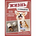 Дрессировка и воспитание