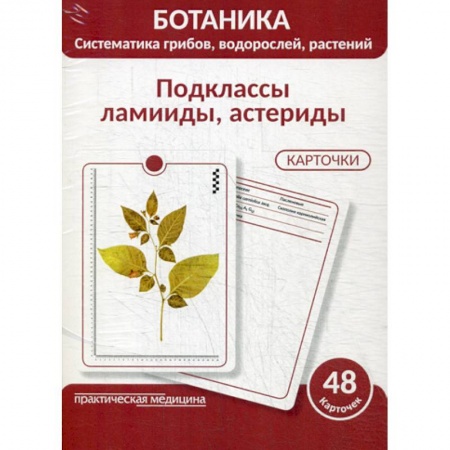Ботаника, книга Ботаника. Систематика грибов, водорослей, растений. Подклассы ламииды, астериды купить по скидке